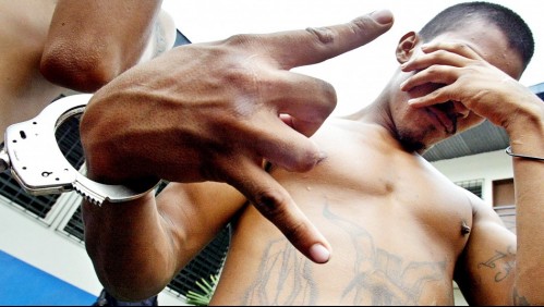 Las Maras están en Chile: Así operan las bandas delictuales salvadoreñas que tienen en alerta a autoridades nacionales