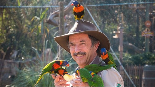 Director del Buin Zoo explica por qué debió criar a un león en el patio de su casa: 'Fue increíble'
