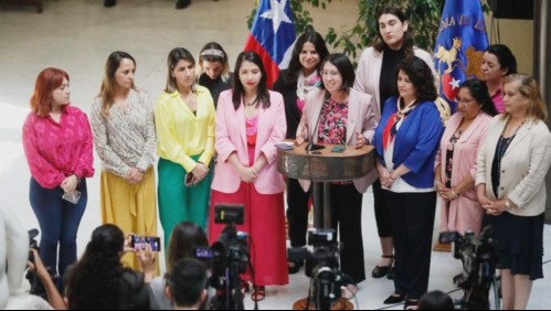 Proyecto que crea pensión de $160 mil para hijos de víctima de femicidio fue aprobado por Comisión de Mujeres
