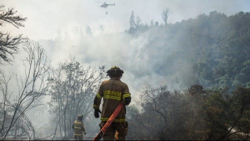 'Presentan cercanía a sectores habitados': Declaran Alerta Roja por incendio forestal en tres comunas del país