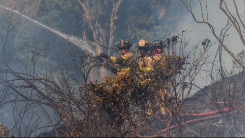 Declaran Alerta Roja en tres comunas del país por incendios forestales cercanos a 'sectores habitados'