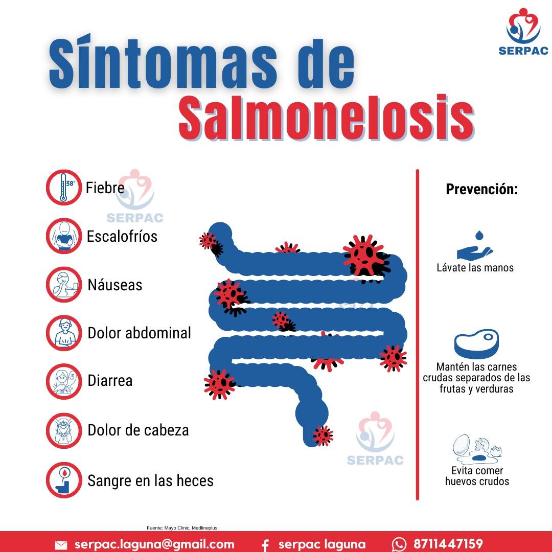 sintomas de salmonella