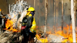 Solicitan evacuar sector de la región de Ñuble por incendio forestal que amenaza sectores poblados