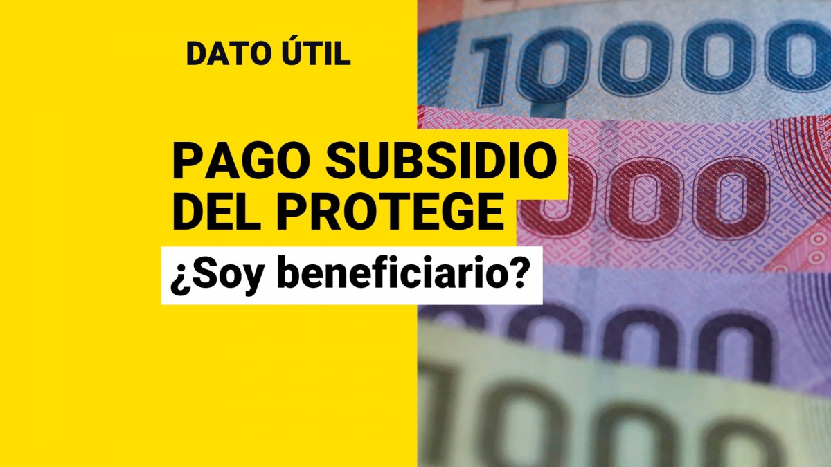 Subsidio Protege: ¿Cómo Saber Si Soy Beneficiario