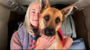 La historia de Vesta Lugg y la perrita callejera que rescató: 'La Funky me salvó la vida'