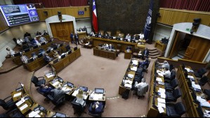 Senado confirma a los doce elegidos para la Comisión Experta para nuevo proceso constituyente