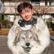 Hombre gastó una fortuna en un traje para poder verse como un lobo: Hombre gastó una fortuna en un traje para poder verse como un lobo: