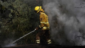 Declaran Alerta Roja en dos comunas del país por incendios forestales cercanos a 'sectores habitados'