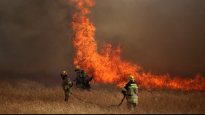 Senapred declara Alerta Roja por incendio forestal en dos comunas del sur del país