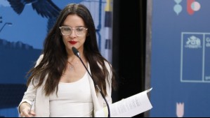 'No hay una bala de plata': Camila Vallejo pide compromiso para lograr acuerdo por seguridad