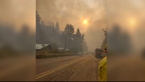 Declaran Alerta Roja por incendio forestal en Purén: Fuego amenaza con llegar a sectores poblados