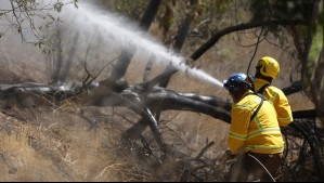 Por amenaza de incendios forestales: Se declara Alerta Temprana Preventiva para 4 provincias y 9 comunas del país