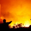 Confirman 177 incendios forestales a nivel nacional: Regiones de Ñuble, Biobío y La Araucanía son las más afectadas Confirman 177 incendios forestales a nivel nacional: Regiones de Ñuble, Biobío y La Araucanía son las más afectadas