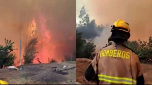 Piden evacuar sectores de la región de Ñuble por incendio forestal: Se activó mensajería de emergencia