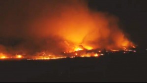 Cortes de luz forzosos en Chillán y alrededores por incendio forestal