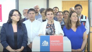 Gobierno decreta Estado de Excepción de Catástrofe para la región de Ñuble por incendios forestales