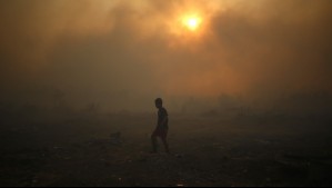 Confirman cuatro muertos por incendios forestales en la zona centro-sur: 'se desplazaban por caminos en vehículos'