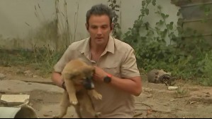 Gonzalo Ramírez rescató a perrito que estaba solo durante evacuación por incendios en Tomé