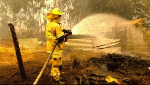 Bombera muere en medio de combate de incendio forestal en Santa Juana: Deja a su esposo e hija