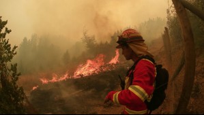 Incendios forestales: Senapred informa 87 siniestros activos y reporta 13 establecimientos educacionales destruidos