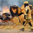 Ordenan evacuar sectores de las regiones de Ñuble y La Araucanía por incendios forestales Ordenan evacuar sectores de las regiones de Ñuble y La Araucanía por incendios forestales