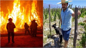 'En menos de dos horas estaba todo quemado': Viñatero perdió más del 90% de sus plantaciones en incendio forestal