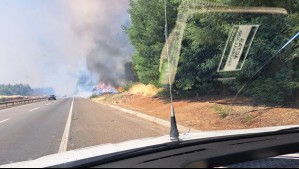 Incendios forestales: Levantan barreras de peaje tras siniestro en ruta 5 sur entre Chillán y Collipulli