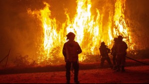 Senapred solicita evacuar nuevos sectores de Ñuble, Biobío y La Araucanía por incendios forestales
