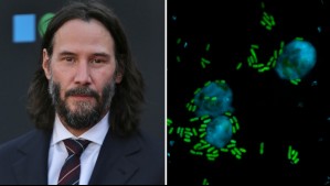 'Extremadamente letal': Nueva bacteria es nombrada en honor a Keanu Reeves por ser tan peligrosa como sus personajes