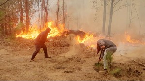Gobierno corrigió la cifra de víctimas fatales por incendios forestales