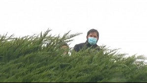 Intentaron quemar el 'árbol de Boric' en Punta Arenas: ¿Qué dijo el alcalde de la ciudad?