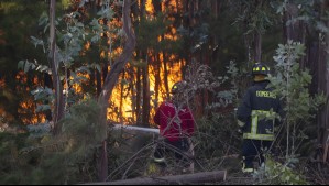 Bomberos de Vicuña denuncian que fueron amenazados de muerte por comunidad en Ercilla