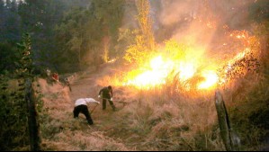 'Voy a quemar unos pastitos': Detienen a cuatro sujetos por incendios en La Araucanía