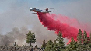 Despegó el Aero Tanker rumbo a Chile: Avión es traído por familia Luksic para combatir incendios forestales