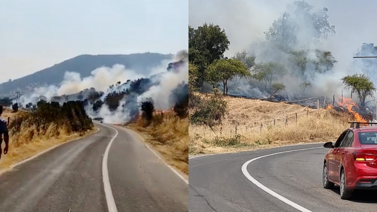 Declaran Alerta Roja En Lolol Por Incendio Forestal Van 10 Hectáreas Consumidas Y El Fuego 1647