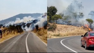 Declaran Alerta Roja en Lolol por incendio forestal: Van 10 hectáreas consumidas y el fuego amenaza sectores poblados