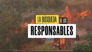 Búsqueda de responsables por incendios forestales