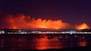 Videos registran incendio forestal en Dichato que amenaza sectores poblados