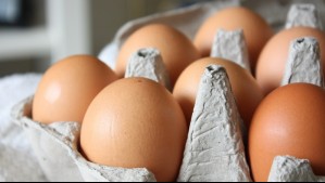Esta es la forma de saber si un huevo está malo, incluso sin abrirlo