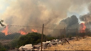 Declaran Alerta Roja en la comuna de Peñaflor: Incendio forestal se desarrolla cercano a sectores habitados
