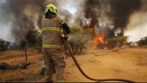 Gobierno por incendios forestales: 'Muchos de ellos son intencionales' y 'se mantiene toque de queda'