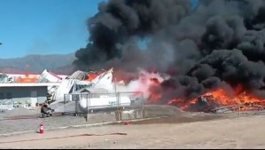 Incendio consume recinto de empresa Dole en Codegua: Bomberos trabaja en el lugar