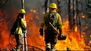 Ministra Tohá confirma muerte de brigadista que luchaba contra los incendios forestales