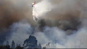 Incendios Forestales: Senapred solicita evacuar sector de la región del Biobío
