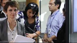 Ministra Tohá aclara que hombre que murió tras caída de un árbol 'no es un brigadista, sino un trabajador forestal'