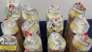 Fue clave agente encubierto: Incautan encomienda con drogas y detiene a cuatro personas