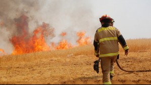 Incluye la Metropolitana: Gobierno advierte que seis regiones tendrán botones rojos por incendios forestales