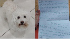 'Espero me sepas comprender': La desgarradora carta de mujer que abandonó a su perrita por falta de dinero