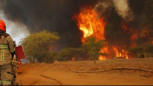 Senapred solicita evacuar sector de la comuna de Teodoro Schmidt por incendio forestal