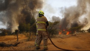 Incendios forestales: Autoridad solicita evacuar sectores de la región del Biobío y La Araucanía